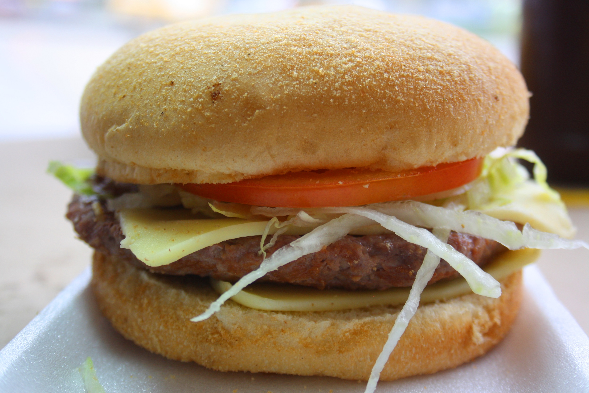 HAMBURGUESA DE CARNE